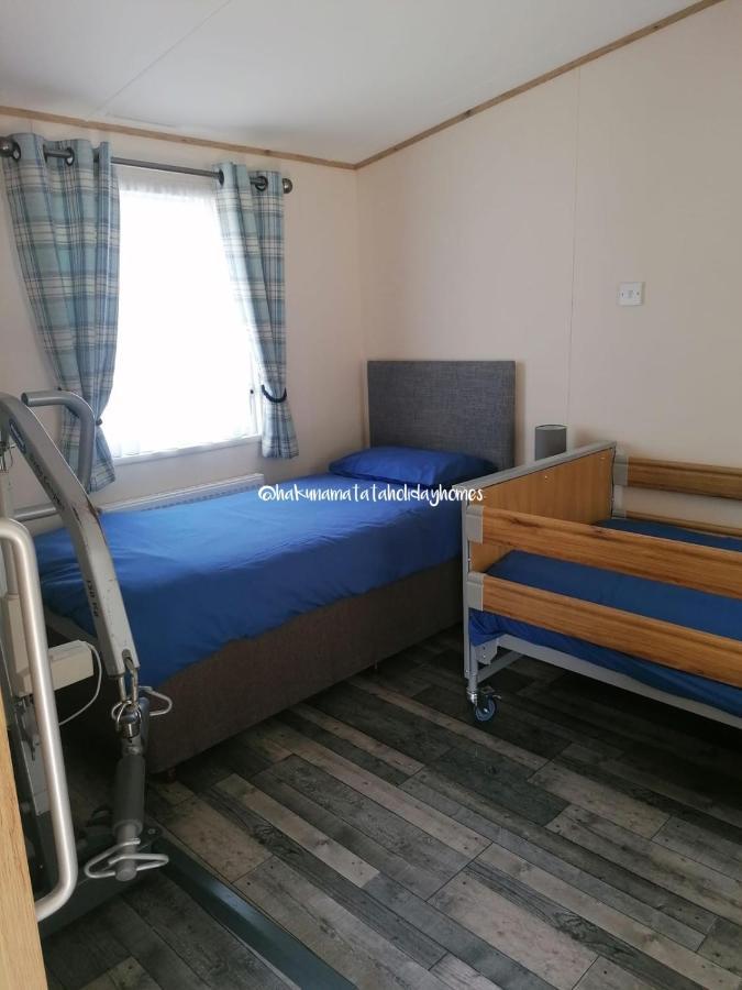 Hakuna Matata Holiday Home New Quay Extérieur photo