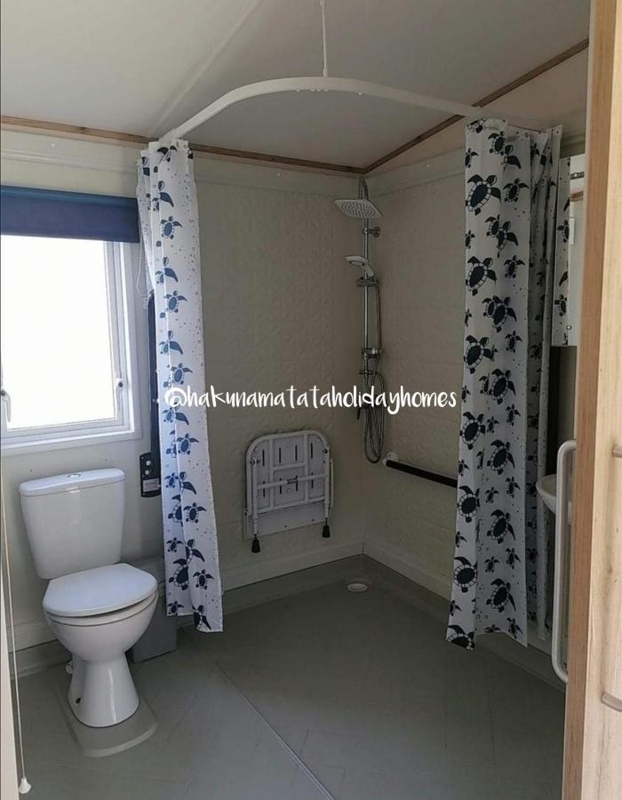 Hakuna Matata Holiday Home New Quay Extérieur photo
