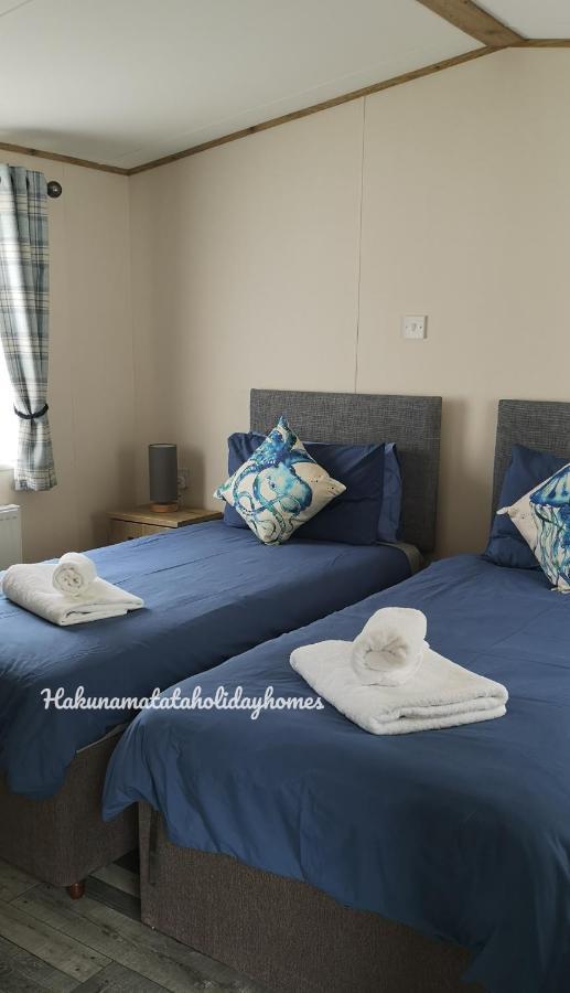 Hakuna Matata Holiday Home New Quay Extérieur photo
